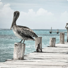 Sesión newborn en estudio